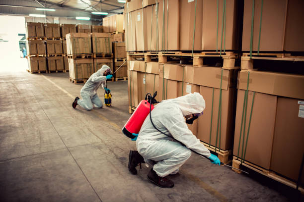 Best Wasp Removal Services  in Austell, GA