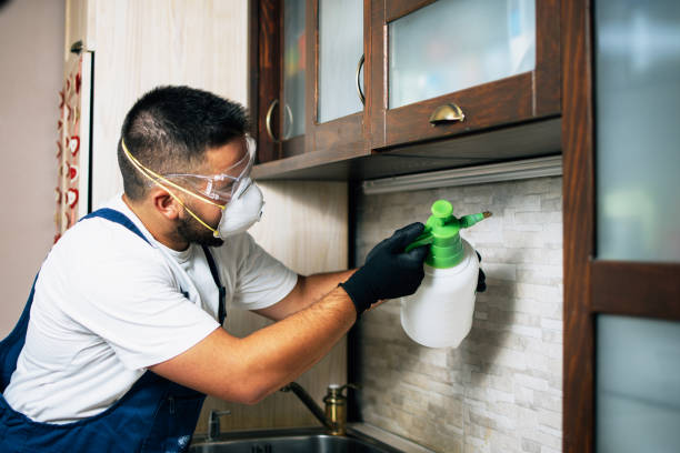 Trusted Austell, GA Pest Control Experts