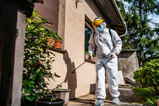 Best Mosquito Control Services  in Austell, GA