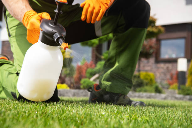 Best Pest Removal Services  in Austell, GA