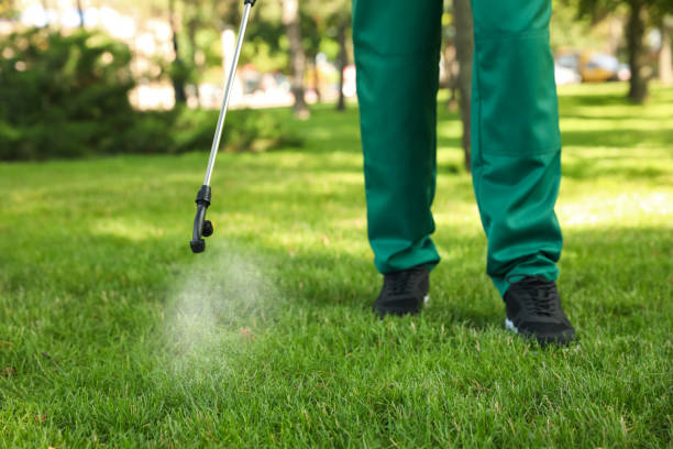 Best Best Pest Control Companies  in Austell, GA