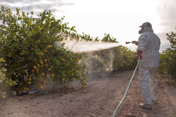 Best Best Pest Control Companies  in Austell, GA