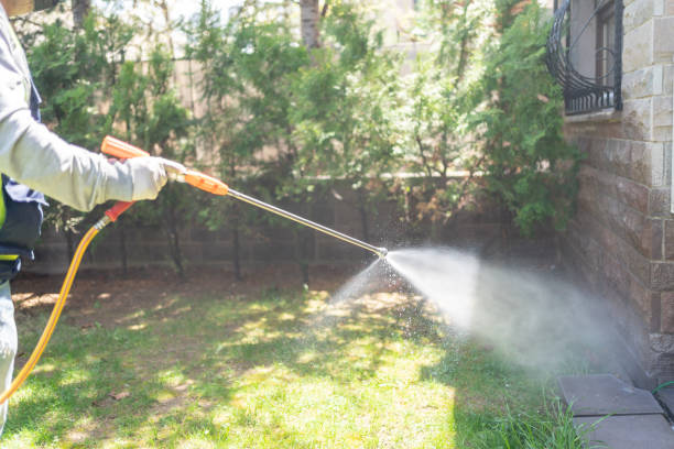 Best Wildlife Control Services  in Austell, GA