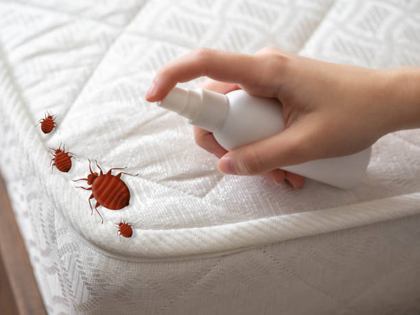 Best Cockroach Control Services  in Austell, GA