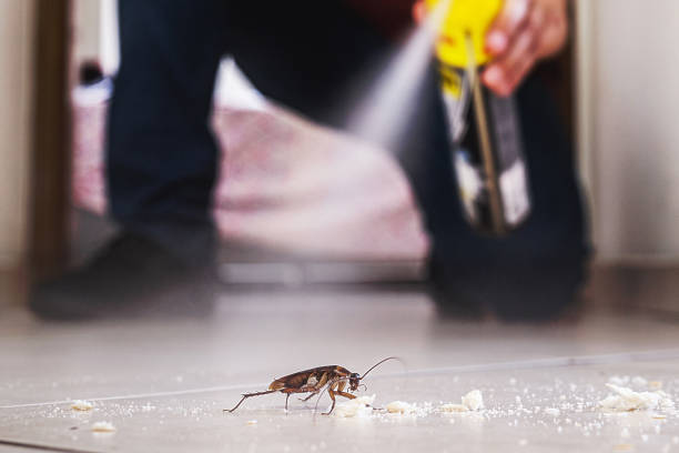 Best Commercial Pest Control Services  in Austell, GA