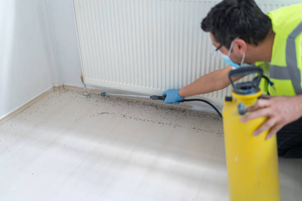 Pest Prevention Services in Austell, GA
