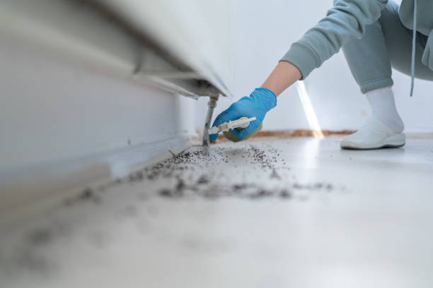 Best Emergency Pest Control  in Austell, GA